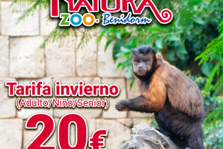 oferta-febrero